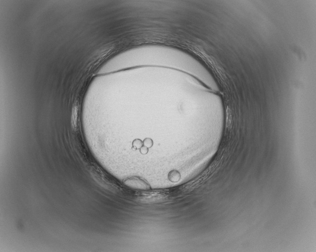 X0000115160070200912081417