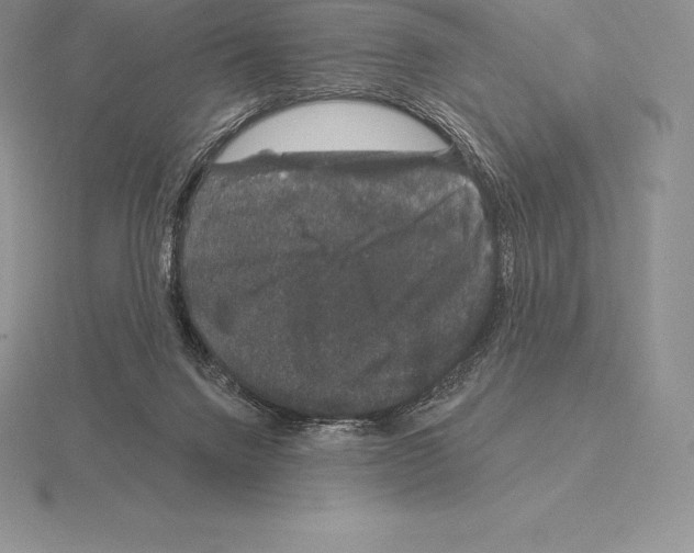 X0000115160072200912081417