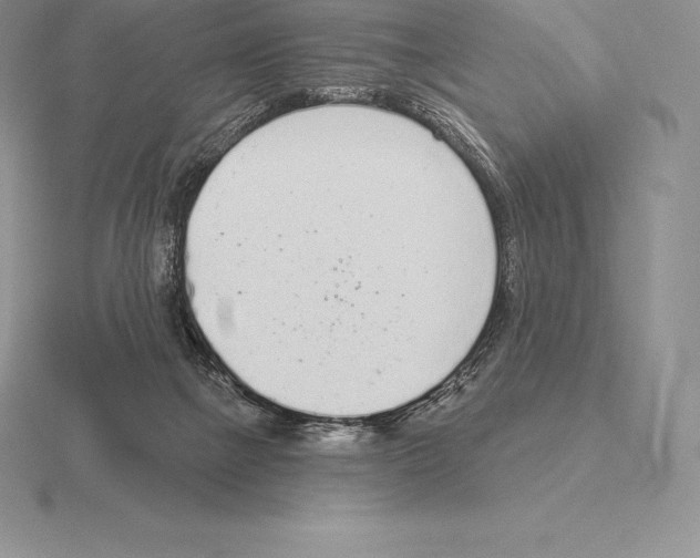 X0000115160073200912081417