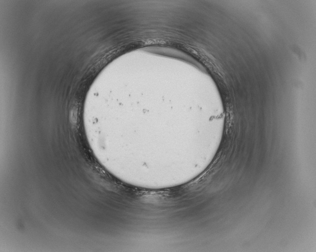 X0000115160074200912081417