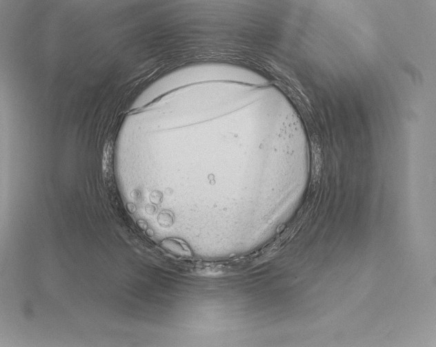 X0000115160075200912081417