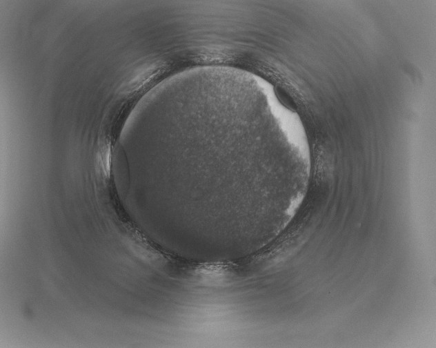 X0000115160076200912081417