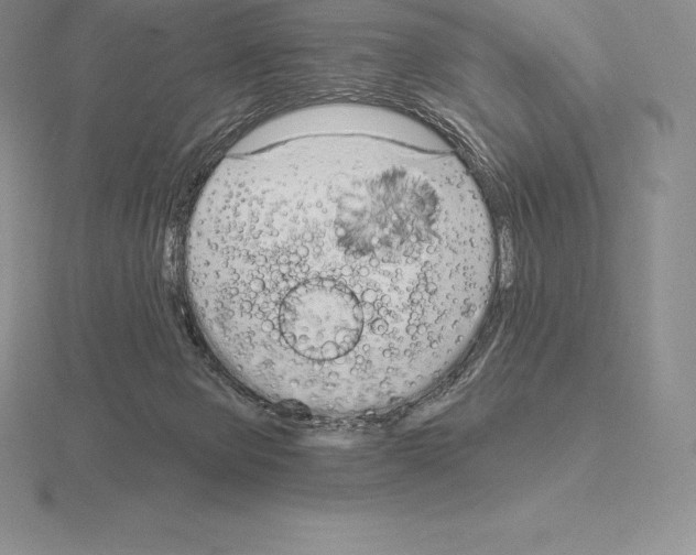 X0000115160077200912081417