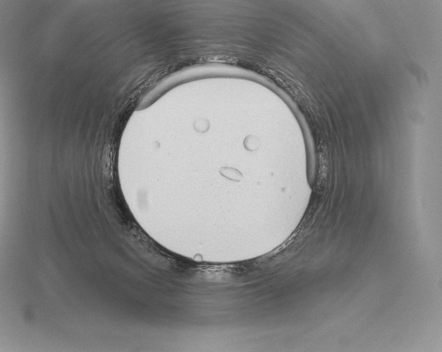 X0000115160078200912081417