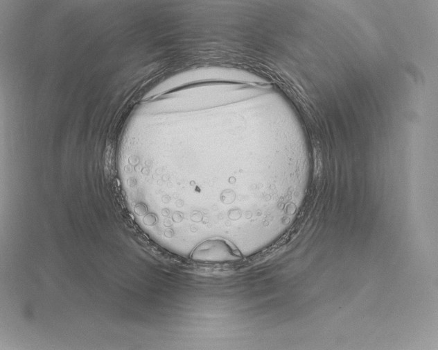 X0000115160081200912081417