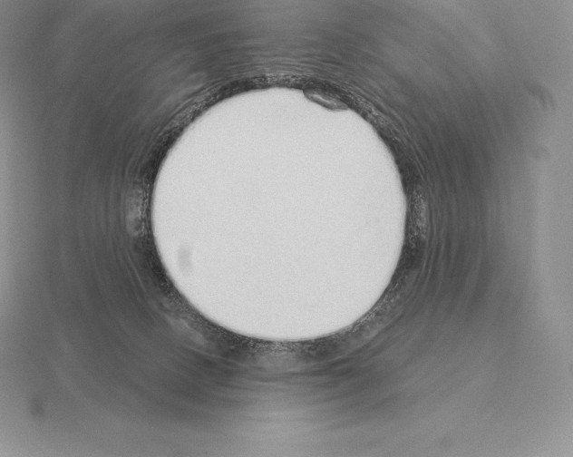 X0000115160082200912081417