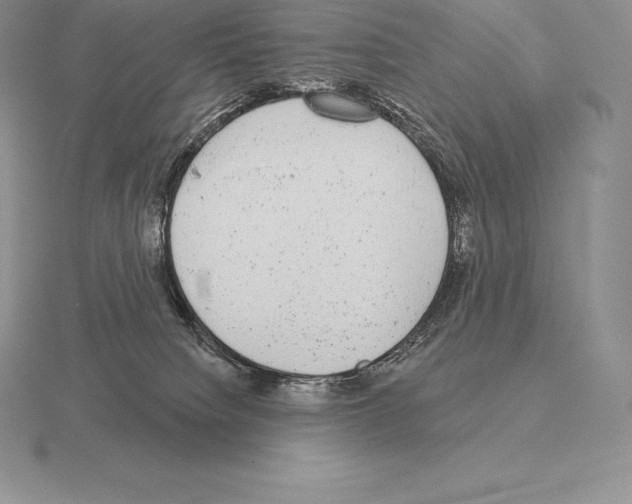 X0000115160084200912081417