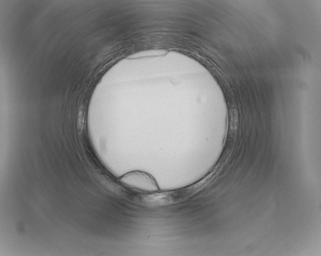 X0000115160086200912081417