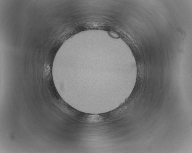 X0000115160087200912081417