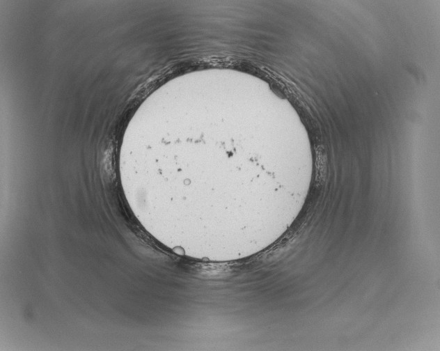 X0000115160088200912081417