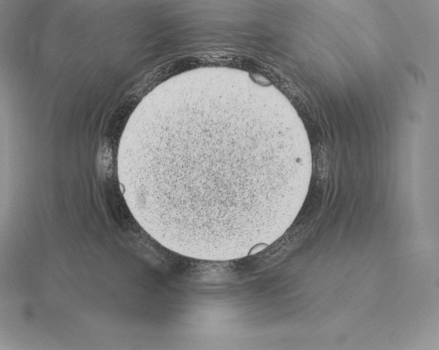 X0000115160089200912081417