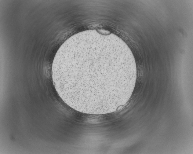 X0000115160090200912081417