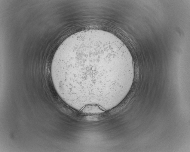 X0000115160091200912081417