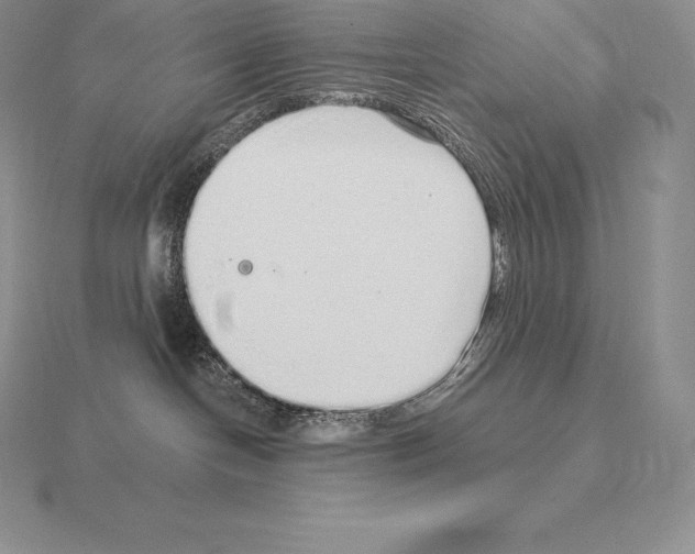 X0000115160094200912081417