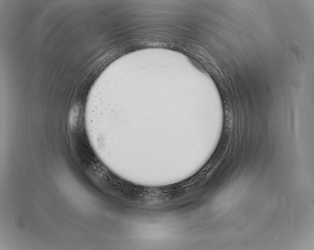 X0000115160095200912081417