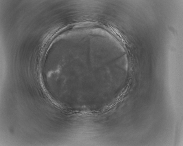 X0000115160097200912081416