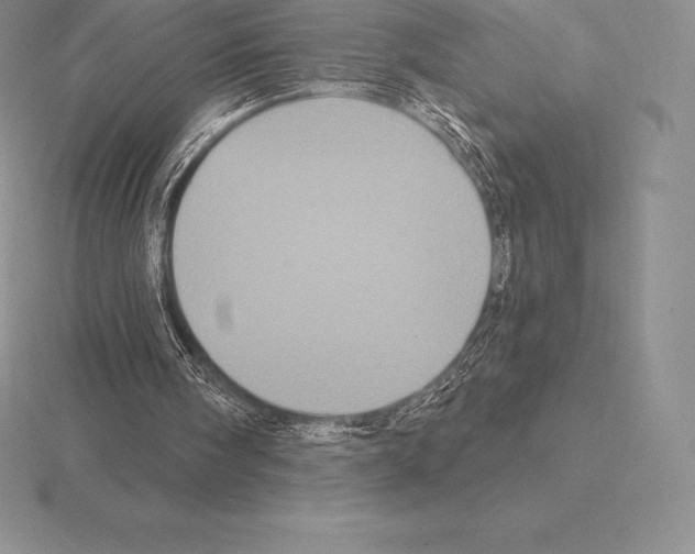 X0000115160098200912081416