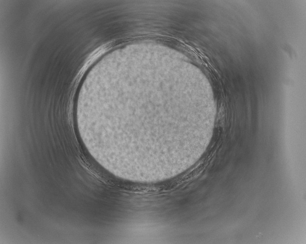 X0000115160099200912081416