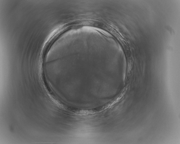 X0000115160101200912081416