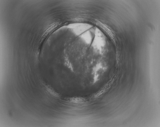 X0000115160105200912081416