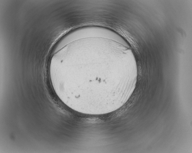 X0000115160112200912081416