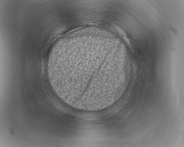 X0000115160114200912081416