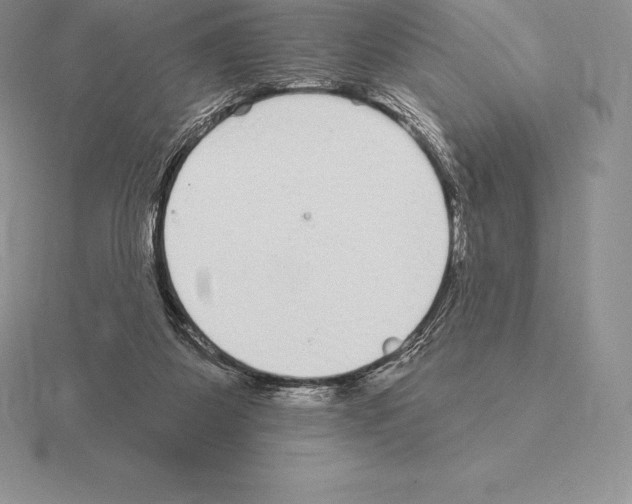 X0000115160115200912081416