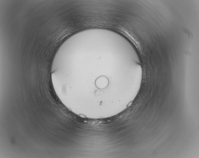 X0000115160117200912081416