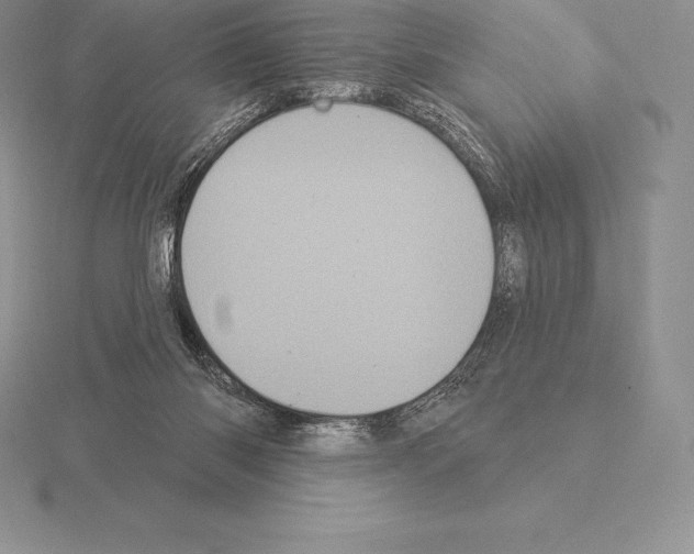 X0000115160118200912081416