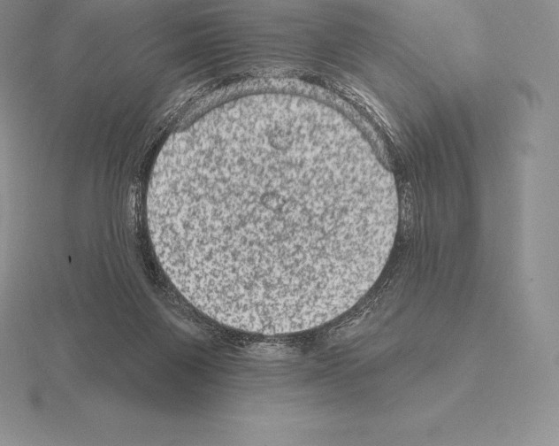 X0000115160119200912081416