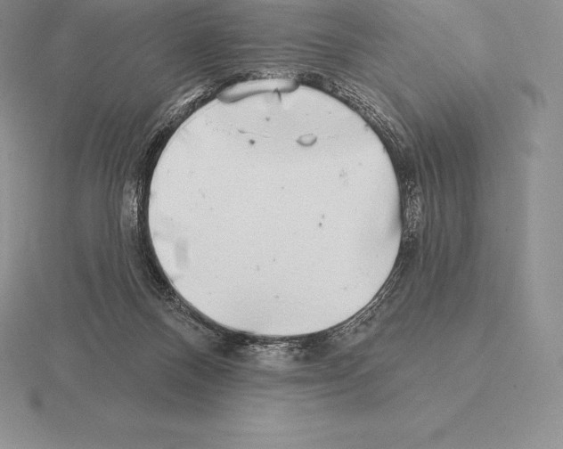 X0000115160120200912081416