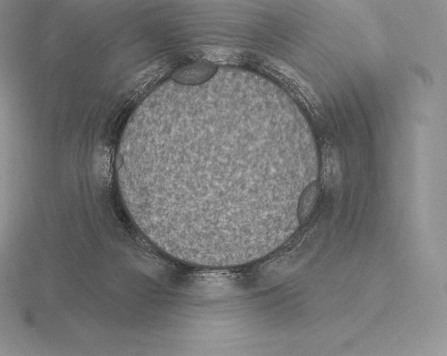 X0000115160121200912081416