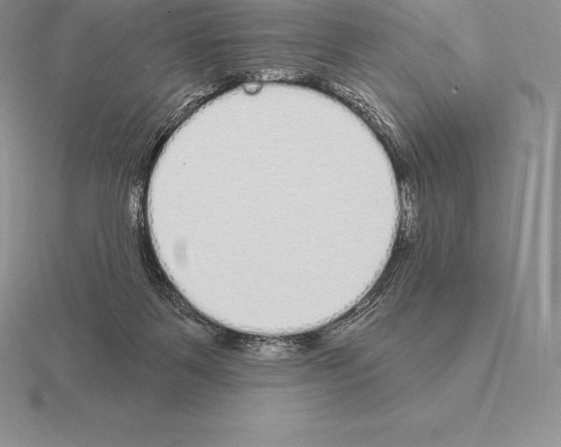 X0000115160123200912081416