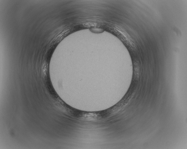 X0000115160125200912081416