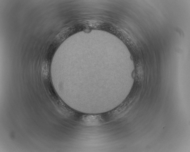 X0000115160129200912081416