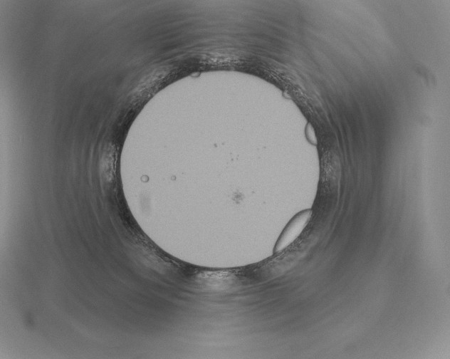 X0000115160133200912081416