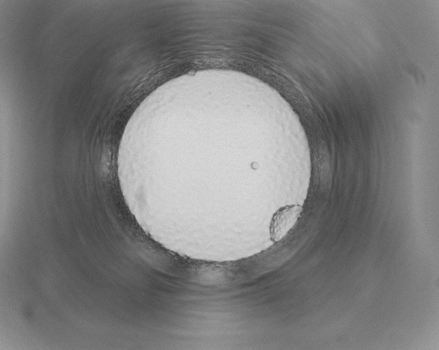 X0000115160134200912081416