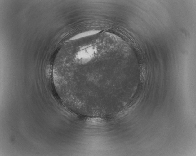 X0000115160137200912081416