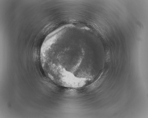 X0000115160140200912081416