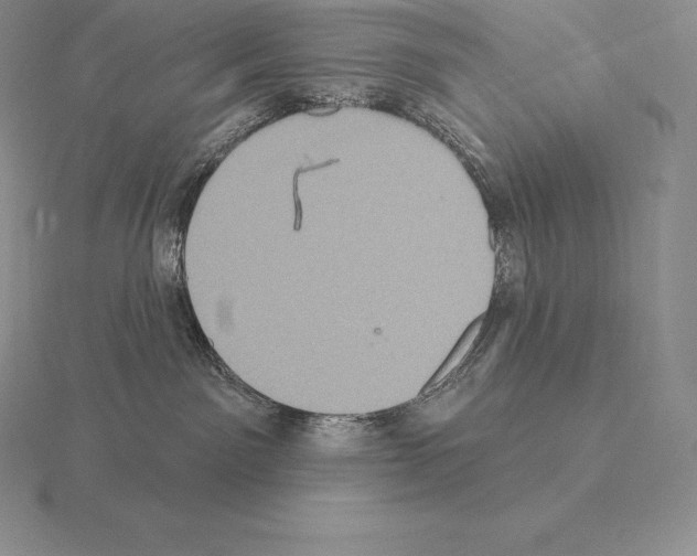 X0000115160141200912081416