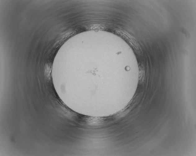 X0000115160142200912081416