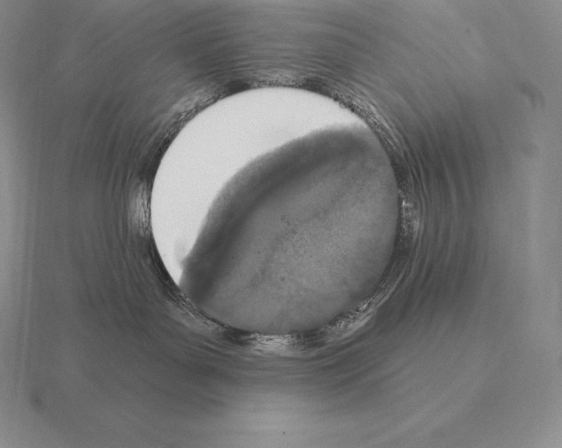 X0000115160143200912081416