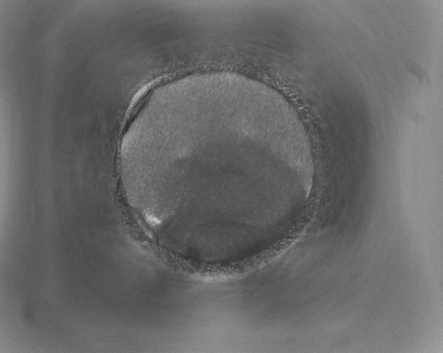 X0000115160144200912081416