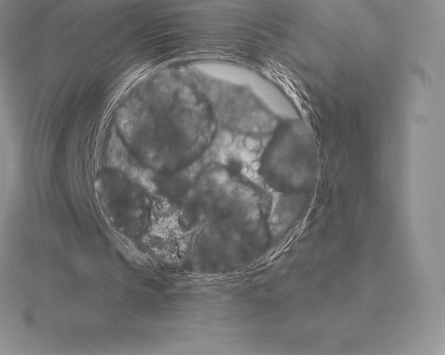 X0000115160145200912081415