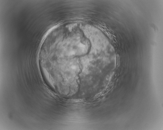 X0000115160147200912081415