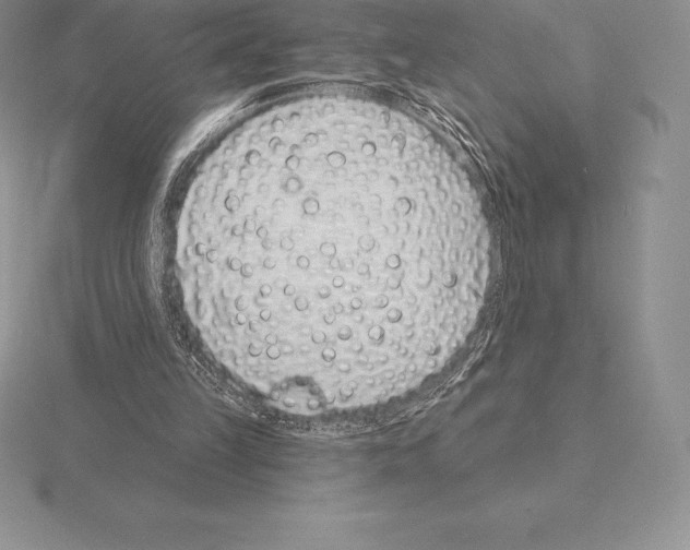 X0000115160149200912081415