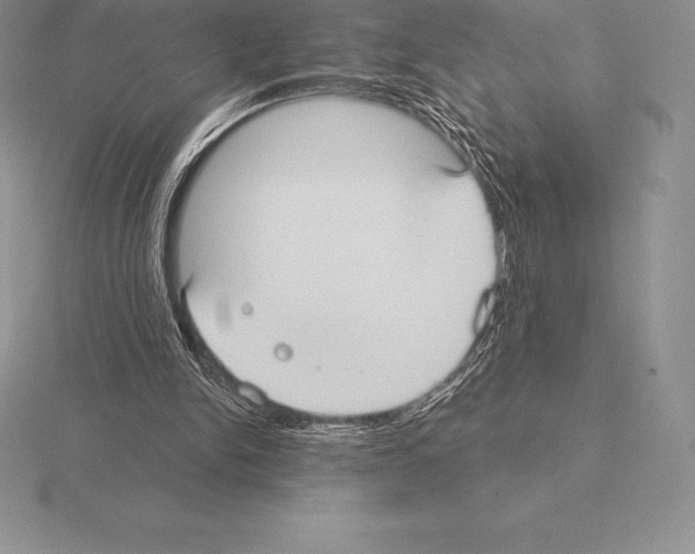 X0000115160150200912081415