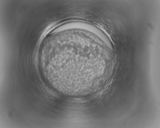 X0000115160151200912081415