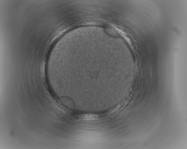 X0000115160154200912081415