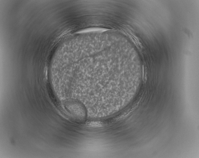 X0000115160157200912081415